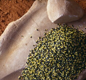 Health Benefits of Chia Seeds