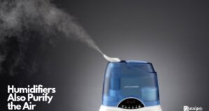 Humidifiers Also Purify the Air