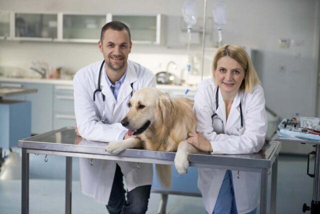 Where to find the Best Pet Care Clinics