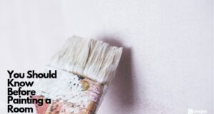 You Should Know Before Painting a Room
