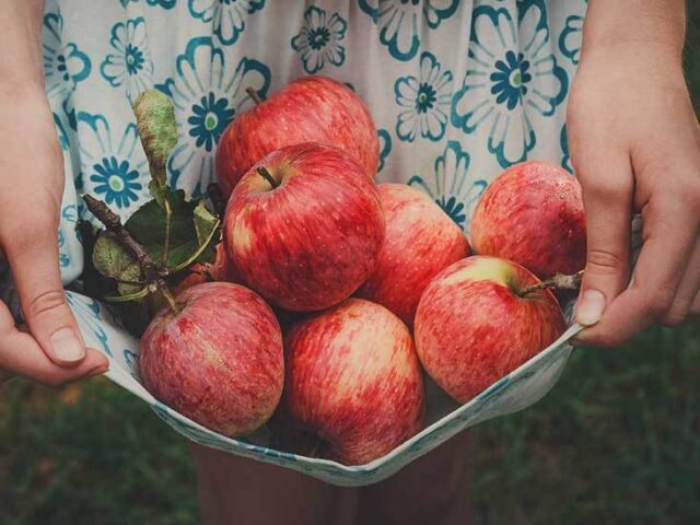 How Much Nutrition in an Apple