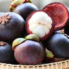 Mangosteen