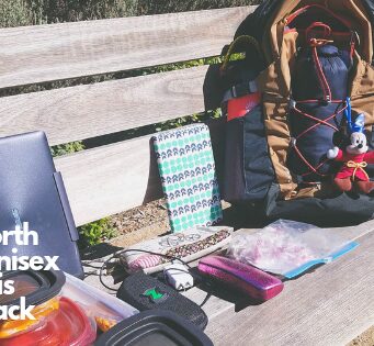 The North Face Unisex Borealis Backpack