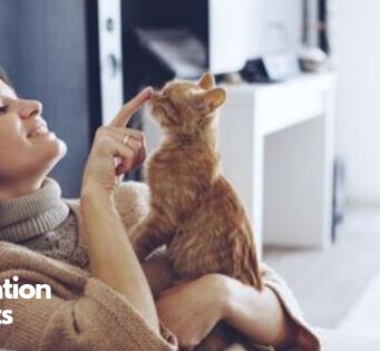 Flea Prevention for Cats