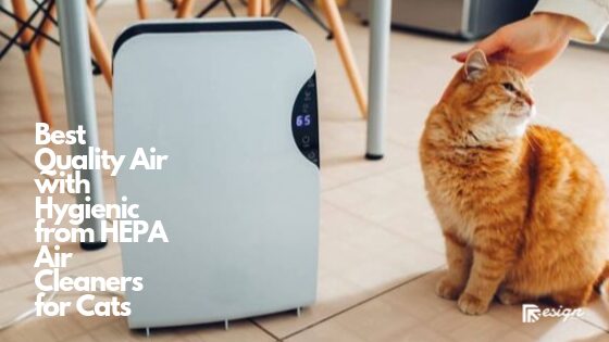 Best Quality Air with Hygienic from HEPA Air Cleaners for Cats