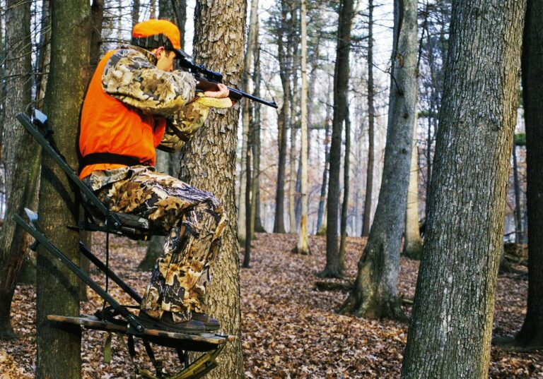 6 Reasons Why Hunting is Good For The Environment 2024 Review