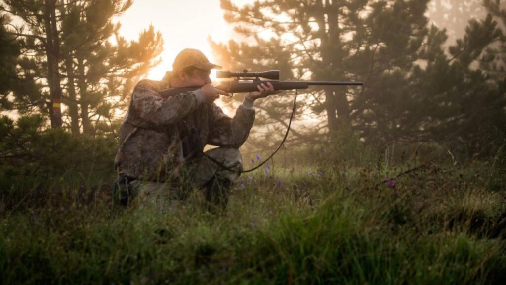 6 Reasons Why Hunting is Good For The Environment 2024 Review Ferguson Action 2024