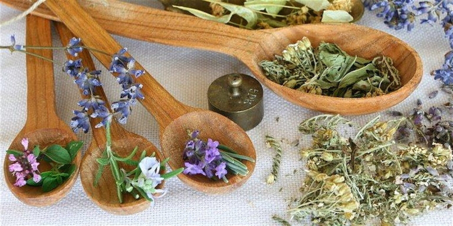 10 Best Herbs To Fight Stress And Fatigue - 2024 Guide - Ferguson ...