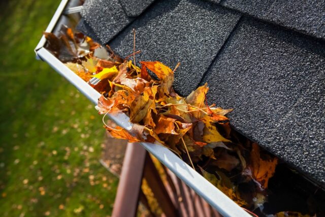 7 Things to Do When Your Downspout is Clogged - 2024 Guide - Ferguson ...