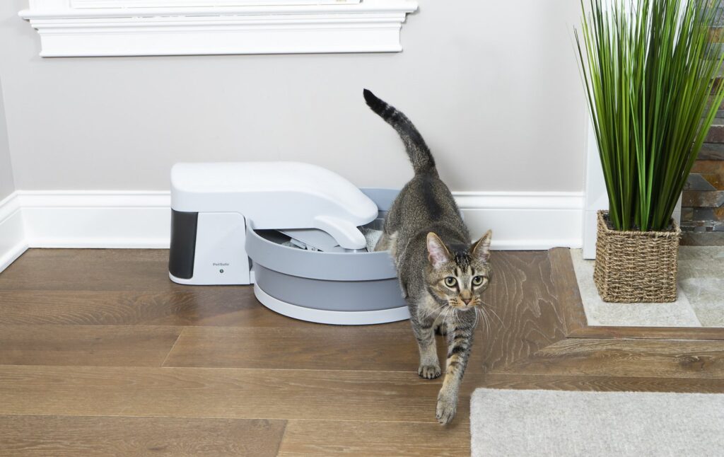 How Do Automatic Litter Boxes Work 2020 Guide Ferguson Action 2020