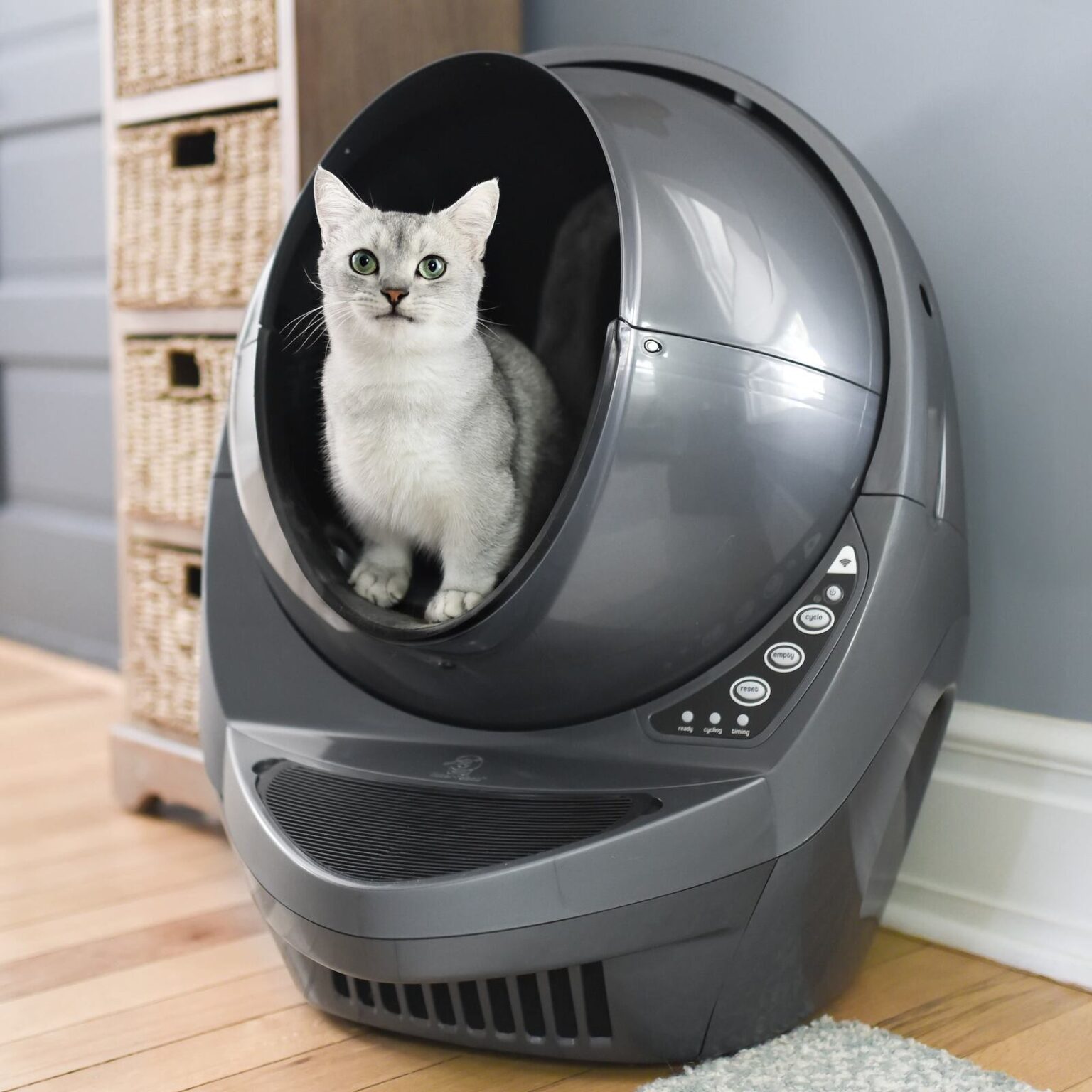 How Do Automatic Litter Boxes Work 2024 Guide Ferguson Action 2024