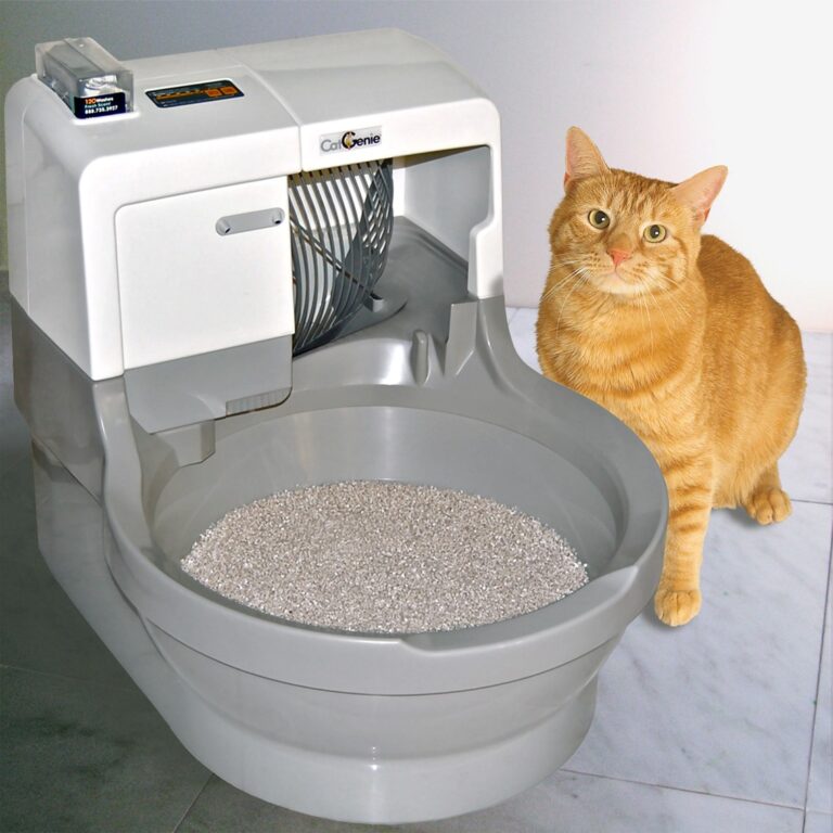 How Do Automatic Litter Boxes Work 2024 Guide Ferguson Action 2024