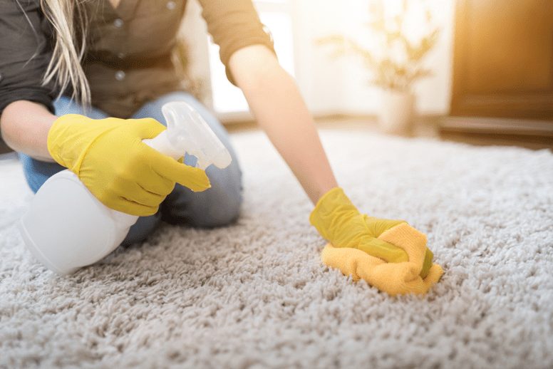 How To Take The Smell Out Of A Wet Carpet Ferguson Action